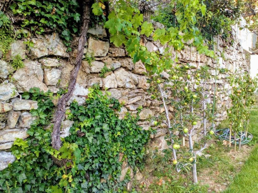 La Maison Jaffran, Suite En Ville พริวาส ภายนอก รูปภาพ